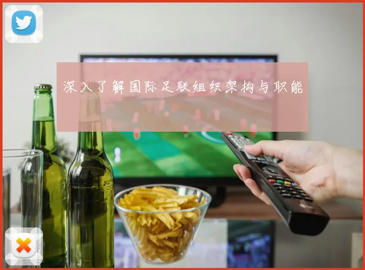 深入了解国际足联组织架构与职能