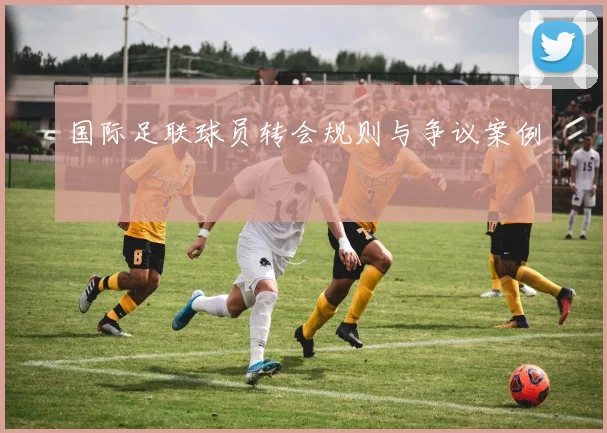 国际足联球员转会规则与争议案例