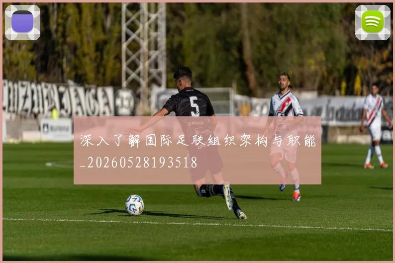 深入了解国际足联组织架构与职能_20260528193518