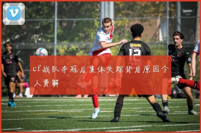 cf战队夺冠后集体失踪背后原因令人费解